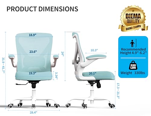 Ergalithic Office Chair: Mesh Ergonomic Desk Chair with 3D Lumbar & Swivel - color: Mint Green, size: Pack of 1