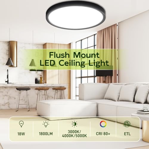 hykolity 9 Inch Selectable CCT LED Round Flat Panel Light,1800LM,2 Pack | 18W 3000K/4000K/5000K, Edge-Lit Flush Mount Ceiling Light Fixture for Kitchen, Bedroom, Laundry and Closet Room,Black - color: Black, size: 9 inch