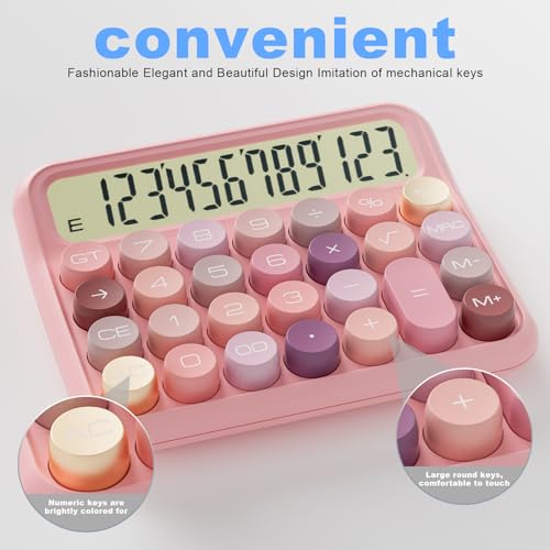 DECKLIT Battery Desk Calculator - 12 Digit Extra Large 5-Inch LCD Display, Big Buttons Easy to Press, 15 Tilt Screen for Kids (Rose) - color: Rose