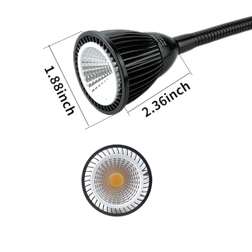QUANS 5W COB Clip-on Adjustable Gooseneck Cool White LED Desk Reading Light | 19 Inch Black Adjustable Neck, 6000K 6500K, US Plug On/Off Switch, Metal Clamp for Sewing Study Bedside Craft Work Lighting - color: Cool White