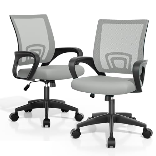 Magshion Office Computer Desk Chairs, 2 Pack, 300 LBS Capacity, Light Gray | Mid-Back Ergonomic Mesh Chair w/ Lumbar Support, Backrest, Height Adjustable, Armrests, Rolling Wheels for Gaming Work - color: Light Gray, size: 2 Pack