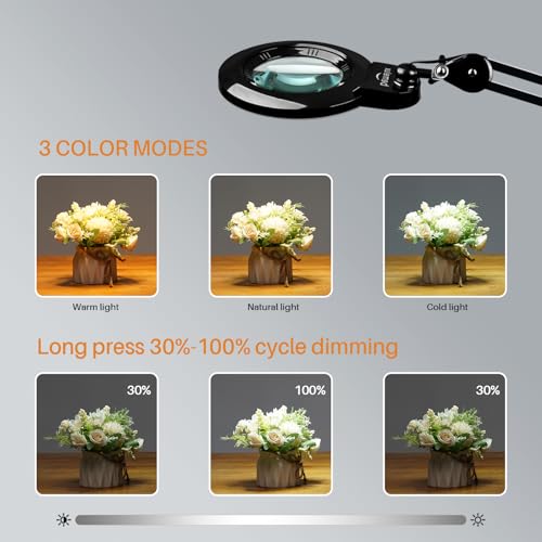 Magnifying Lamp with Clamp, 6-Inch Replaceable Lenses, Black | Includes detachable 3D & 5D glass lenses with 120 LEDs, 3 color temperatures, and 1200LM illumination