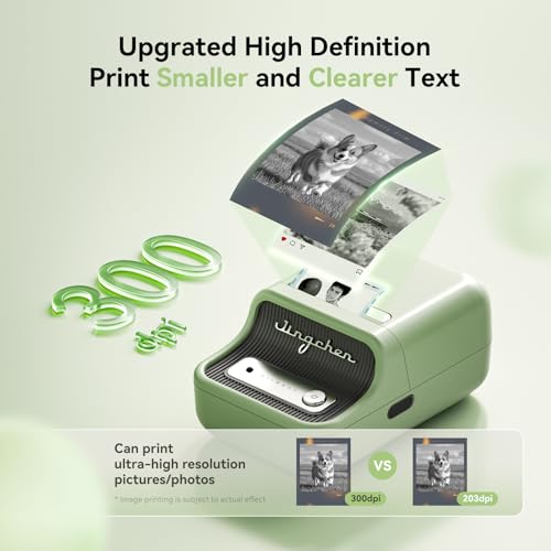 NIIMBOT B21 Pro 300 DPI Bluetooth Label Maker with Tape, Green - color: Green