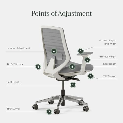 Branch Ergonomic Chair, Versatile Desk Chair with Adjustable Lumbar Support