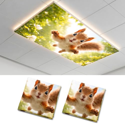 2 Pack Leaping Squirrel Decorative Ceiling Light Covers, Magnetic 4x2 Ft Fluorescent or LED Panel Filter, Anti-Glare Eye Protection for Classroom Office - color: Squirrel