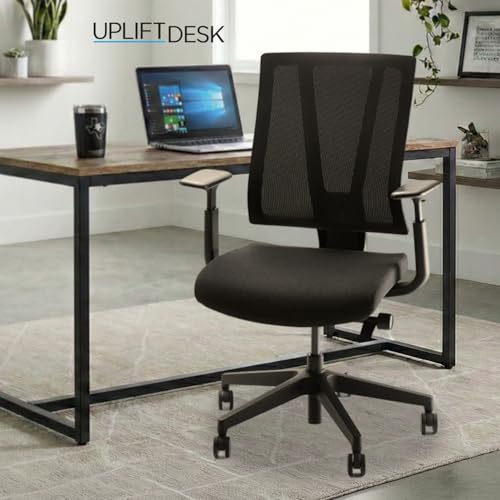 Clarksville Ergonomic Office Chair Adjust Lumbar Support Black | Mesh Back Office Chair, Synchro-Tilt Recline Home Office Desk Chairs with 3-Way Arms, 300 lb Capacity Computer Chair - color: Black