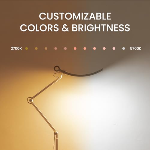 BenQ e-Reading Floor Lamp - Ultrawide and Bright Lighting, Dimmable with 13 Color Modes, Adjustable Arm, Auto-dimming, Eye-Caring Lamp for Home Office, Reading, Study, Craft, Matte Silver