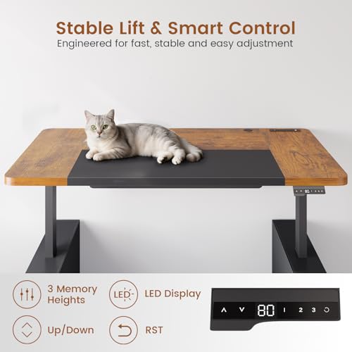 SEDETA 63" Executive Standing Desk with Storage, Executive Height Adjustable Desk with Power Outlets, Large Computer Office Desk with Privacy Panel for Home Office, Brown+Black - color: Rustic Brown