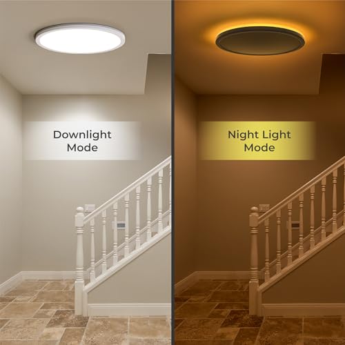 Matane 12in LED Flush Mount Ceiling Light Fixture with Remote Control, Nightlight 2000K Warm, 3000K-6500K Adjustable, Wired Low Profile Ceiling Lights for Bedroom, Kitchen, Living Room, White - color: White, size: 12 Inch