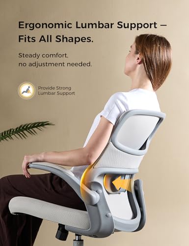 Ergonomic Mesh Office Chair with Flip-Up Armrests | Comfortable Lumbar Support / Comfy Padded Seat / Flip-Up Armrests / Breathable Mesh / Adjustable Height / 360° Swivel - color: Gry-gry