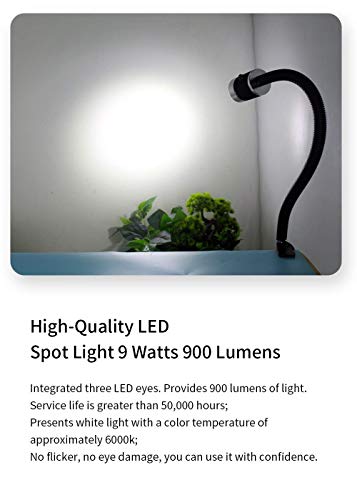 Gooseneck LED Light, Clamp Gooseneck Light 900 Lumen 120 Volt Fixed with C Clamp Industrial Work Lamp for Machine Tools and Lathe - style: Clamp work Light