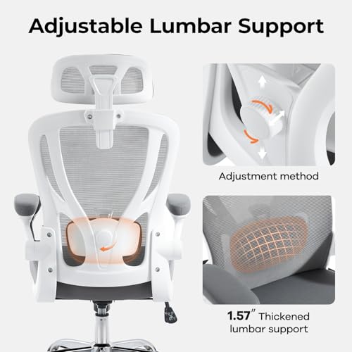 Ergonomic Office Chair, Mesh Office Desk Chair, Grey, 1 Pack | Lumbar Support, Head Support, Rocking Function, Flip-up Armrests, Mesh High Back, Suitable for Home, Office - color: Grey