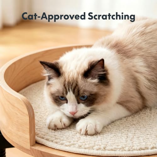 FLEXISPOT EN2 55"x28" Standing Desk with Solid Wood Cat Bed, White - color: White Top + White Frame, size: 55x28 | Cat Bed