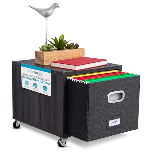 BIRDROCK HOME Rolling File Cabinet – Decorative Storage Shelf w/Removable Bins, Handles, and Wheels – Organize Files, Books, Toys, Under Desk Office Solution, Modern Design - 1 Lateral Drawer, Gray - color: Driftwood Grey