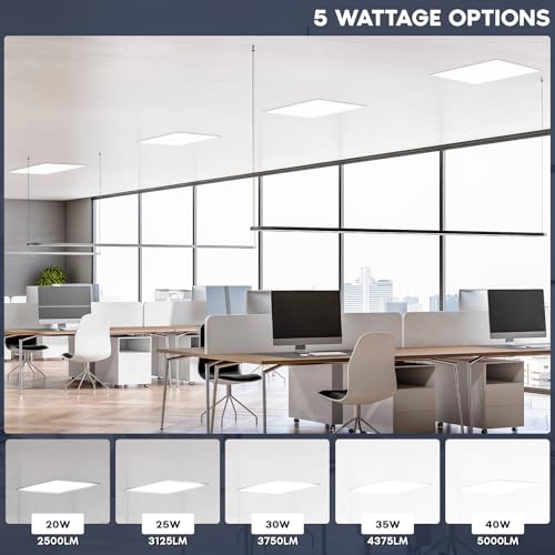 LUXRITE 2x2 FT LED Backlit Flat Panel Light, 5CCT 3000K-6500K (12 Pack) - size: 12 Count (Pack of 1)