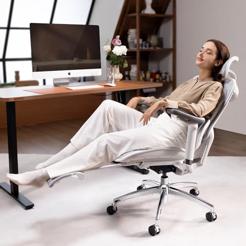 SIHOO Doro C300 Ergonomic Office Chair with Footrest, Soft 3D Armrests | Dynamic Lumbar Support for Home Office Chair, Adjustable Backrest Desk Chair, Swivel Big & Tall Computer Chair, Grey - color: Pale Grey, size: Pack of 1