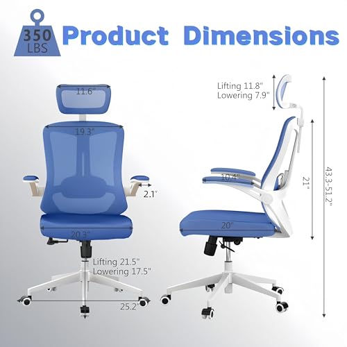 Office Chair (Blue) - color: Blue