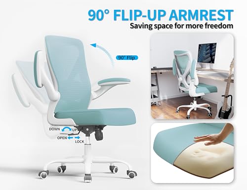 Ergalithic Office Chair: Mesh Ergonomic Desk Chair with 3D Lumbar & Swivel - color: Mint Green, size: Pack of 1