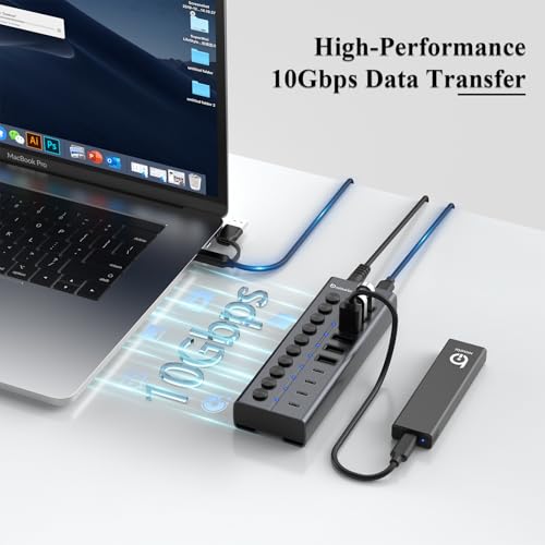 Powered USB Hub, 10-Port USB C Hub with 6 USB-A 3.2, 4 USB-C 3.2 Ports - color: Gery