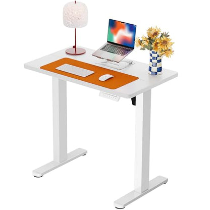 ErGear Height Adjustable Electric Standing Desk, 32 x 19 Inches Sit Stand up Desk with Memory Presets, Computer Home Office Desk, White - color: White, size: 32 X 19 Inches