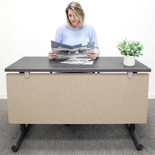 OBEX Modesty Desk PET Privacy Screen Acoustic Sound Absorbing Panel Ideal for Reception, Student Table or Office Cubicles Workstations, 12" x 48", Sand - color: Sand, size: 12"H X 48"W