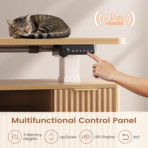 SEDETA Fluted L Shaped Executive Electric Standing Desk with 4 Drawers | 69" x 55" Height Adjustable Office Desk with Storage Shelves, Power Outlet, Sit Stand Computer Desk for Home Office, Natural - color: Natural