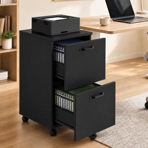 DUMOS 2 Drawer Filing Cabinet, Rolling Wood File Cabinet for Home Office, Under Desk Storage with Lockable Wheels, Printer Stand, Office Organizer, Black