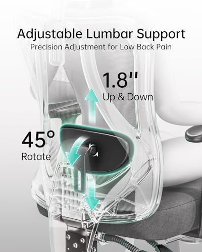 Hbada P3 Ergonnomic Office Chair with 2D Adjustable Lumbar Support, Office Chair with Adjustable Headrest and Armrest, 145° Stepless Tilt Function, Black(No Footrest)