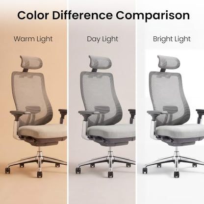 COLAMY Ergonomic Mesh Office Chair, High Back Executive Desk Chair with Adjustable Headrest, 4D Arm, Slide Seat, Tilt Lock, Lumbar Support, Light Grey