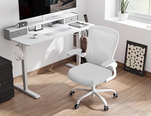 Ergalithic Office Chair: Mesh Ergonomic Desk Chair with 3D Lumbar & Swivel - color: White, size: Pack of 1
