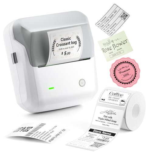 NIIMBOT B31 3 Inch Label Maker, Bluetooth Thermal Label Printer High Speed - color: Grey