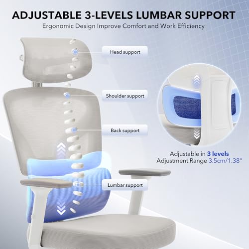 Ergonomic Office Chair Mesh – Adjustable Lumbar 3D Armrests High-Back Desk - color: Grey-d