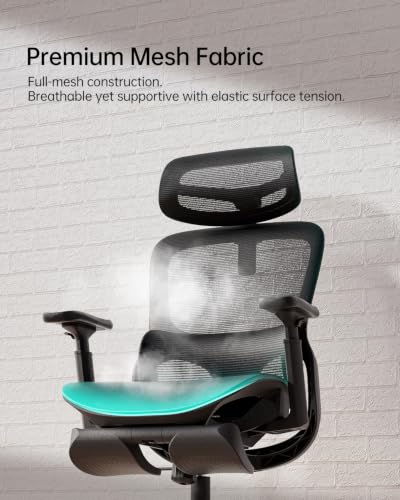 Hbada P2 Ergonomic Office Chair, Office Chair with 3D Lumbar Support, Ergonomic Chair with 3D 360° Rotation Arms & 3D Headrest, 135° Stepless Tilt Function, Black - color: Carbon Black