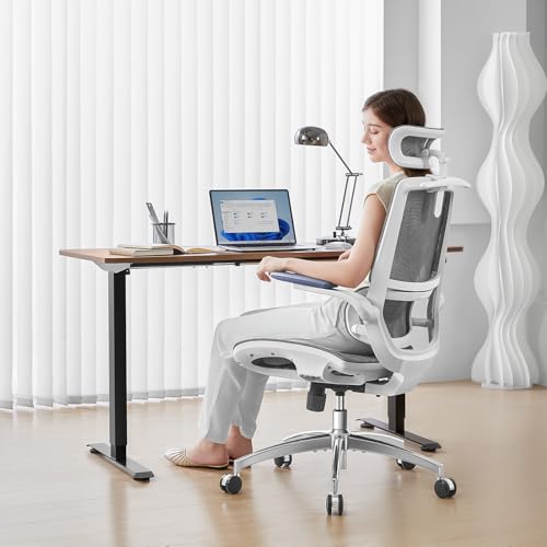 SIHOO M59AS Ergonomic Office Chair, Dual Backrest, Adaptive Lumbar Support - color: Jet Black, size: Pack of 1