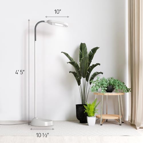 Kenley Natural Daylight Floor Lamp with Adjustable Gooseneck - color: Gray