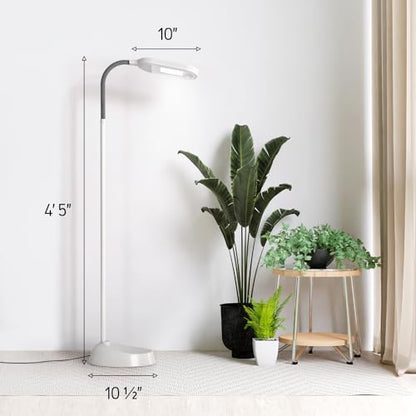Kenley Natural Daylight Floor Lamp with Adjustable Gooseneck - color: Gray