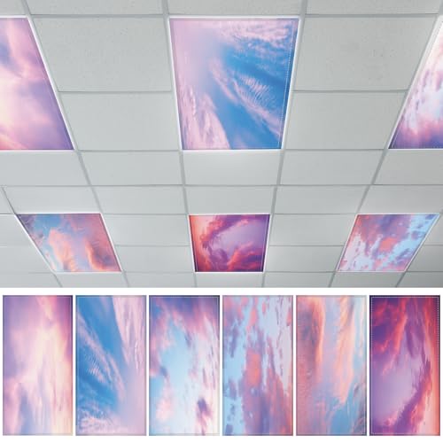 QOUBAI 6PCS Fluorescent Light Covers, 4x2 Feet Magnetic Light Cover Fluorescent Lights Shade Panel Positive Inspirational Ceiling Lights Filters for Office Classroom Home Drop Ceiling Sunset Drop - color: Sunset Drop