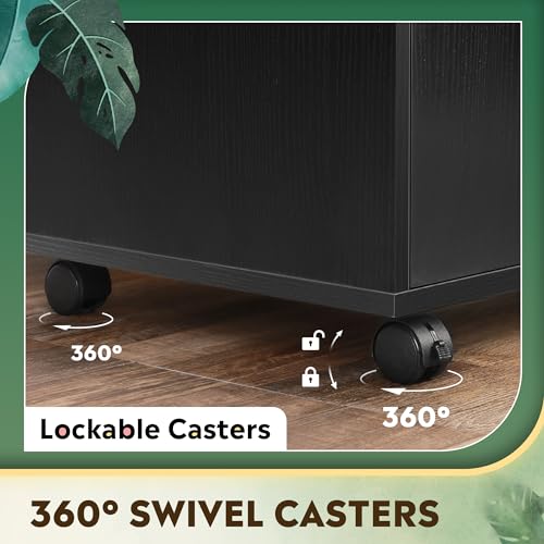 DEVAISE Office Storage Cabinet, Lateral Printer Stand, Black | Doors and Shelves, Mobile File Cabinet, Large Office Supplies and Craft Storage - color: Black
