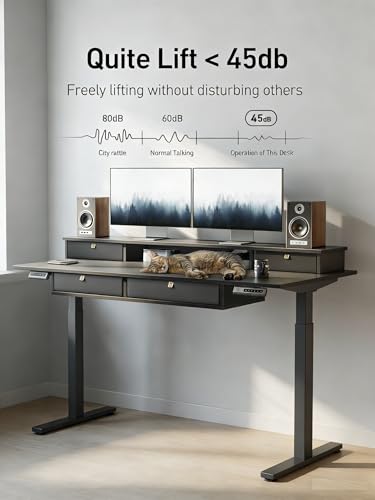 CubiCubi 48" x 24" Standing Electric Desk with Drawers, Black - color: Black, size: 48 inch