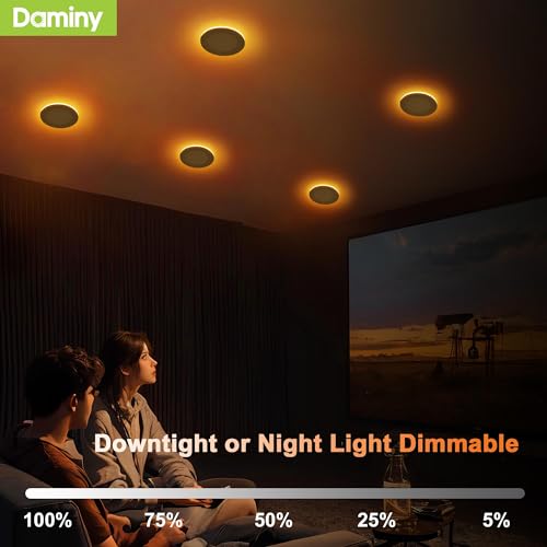 DAMINY 12 Pack 6 Inch LED Recessed Lighting, Canless Wafer Downlight - color: Natural White, size: 6 Inch