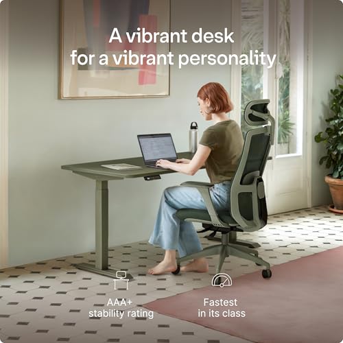 Desktronic HomeOne Standing Desk 48x24 — Ergonomic Sit Stand Home Office Desk, Made in Europe, Electric Dual Motor Height Adjustable, USB & USB-C Charging, Wobble-Free, Touchscreen, 3 Memory Presets - color: Green, size: 48 x 24 in
