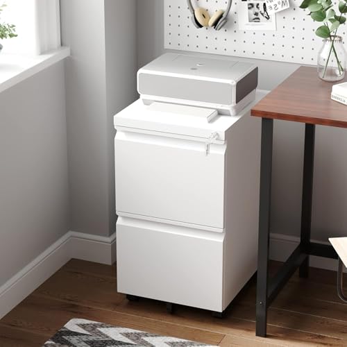 GarveeHome Heavy-Duty 2-Drawer Metal Filing Cabinet with Lock White - size: 26.18"H-2 Drawers