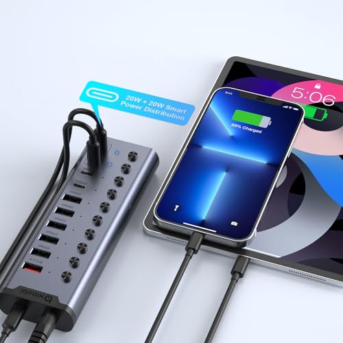 Powered USB Hub, Individual Switches and 24V/3A Power Adapter - color: Gery