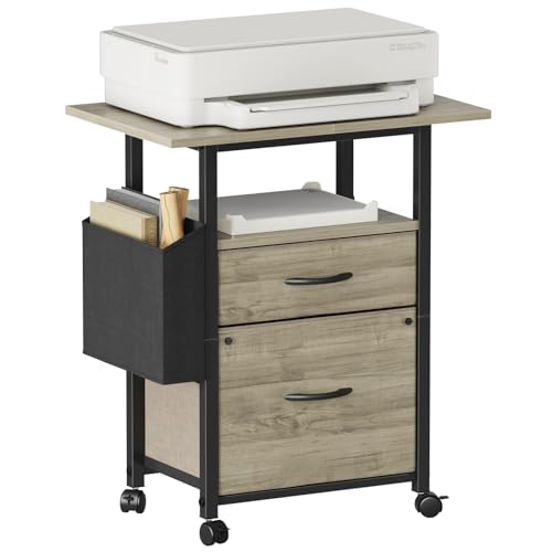 GYIIYUO 2 Drawer File Cabinet 24''W, Mobile Filing Cabinet, Printer Stand - color: Oak Grey