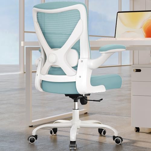 Ergalithic Office Chair: Mesh Ergonomic Desk Chair with 3D Lumbar & Swivel - color: Mint Green, size: Pack of 1