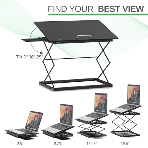 Uncaged Ergonomics Adjustable Laptop Stand & Standing Desk Converter, Black