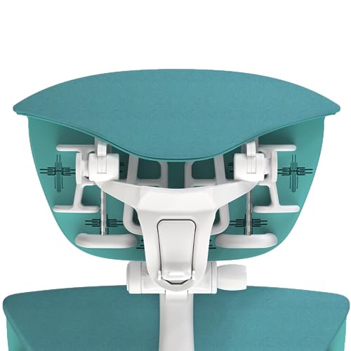 OFFICE LOGIX SHOP Embody Headrest Compatible with Herman Miller Embody Chair (Galaxy Fabric/White Frame) - color: Galaxy Fabric/White Frame