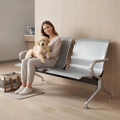 Kinsuite 2-Seat Reception Chairs - Waiting Room Chairs with Arms & Stainless Steel Frame, Waiting Room Bench Lobby Chairs for Office Airport Bank Hospital, Grey - color: Grey, size: 2-Seat