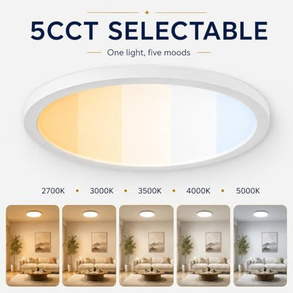 KSANA 12 Inch LED Flush Mount Ceiling Light, 5 CCT Selectable Ultra-Slim Round Flat Panel Light, Triac Dimmable 5%-100%, 24W 2160LM Ceiling Light Fixture for Kitchen, Bedroom, Hallway, Office - size: 12 Inch