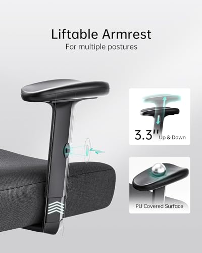 Hbada P3 Ergonnomic Office Chair with 2D Adjustable Lumbar Support, Office Chair with Adjustable Headrest and Armrest, 145° Stepless Tilt Function, Black(No Footrest)